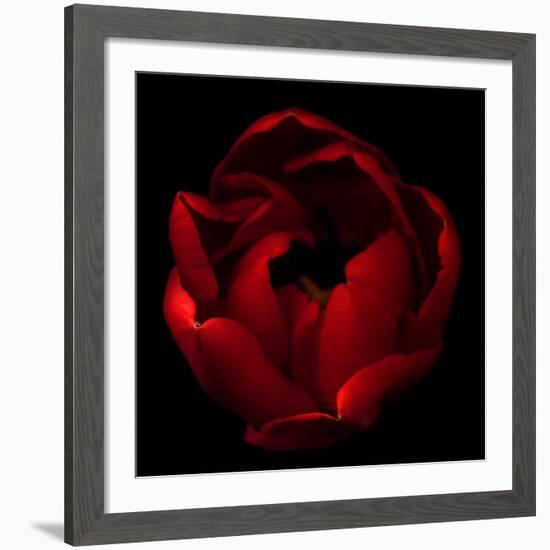 Big Red-Magda Indigo-Framed Giclee Print