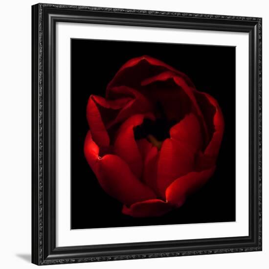 Big Red-Magda Indigo-Framed Giclee Print