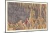Big Room, Carlsbad Caverns, New Mexico-null-Mounted Art Print