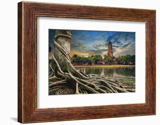 Big Root of Banyan Tree Land Scape of Ancient and Old Pagoda in History Temple of Ayuthaya World He-khunaspix-Framed Photographic Print