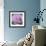 Big Rose-Ruth Addinall-Framed Giclee Print displayed on a wall