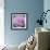 Big Rose-Ruth Addinall-Framed Giclee Print displayed on a wall