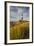 Big Sable Point Lighthouse on Lake Michigan, Ludington SP, Michigan-Chuck Haney-Framed Photographic Print