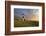 Big Sable Point Lighthouse.-rudi1976-Framed Photographic Print