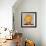 Big Saffron Turban-Lincoln Seligman-Framed Giclee Print displayed on a wall