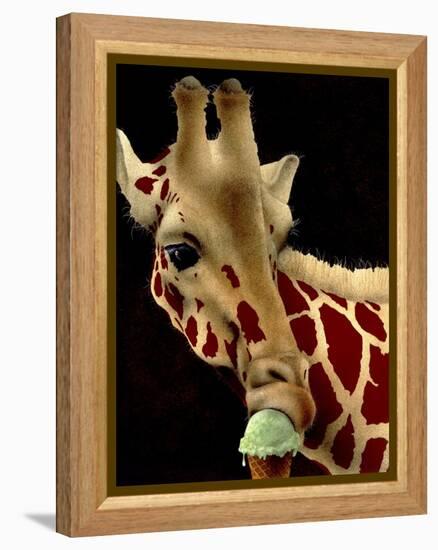 Big Scoop-Will Bullas-Framed Premier Image Canvas