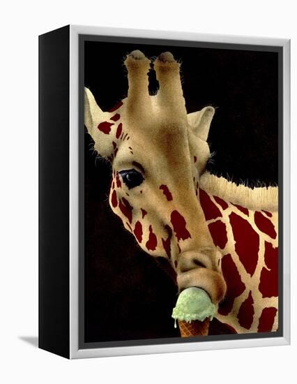 Big Scoop-Will Bullas-Framed Premier Image Canvas