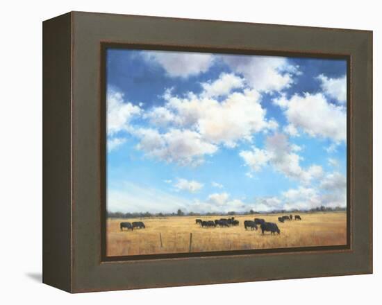 Big Sky Country-David Marty-Framed Premier Image Canvas