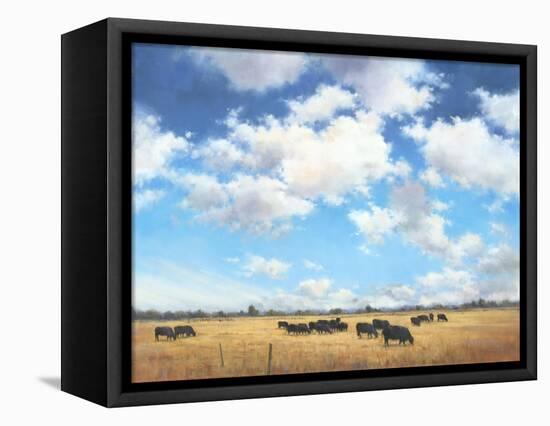 Big Sky Country-David Marty-Framed Premier Image Canvas