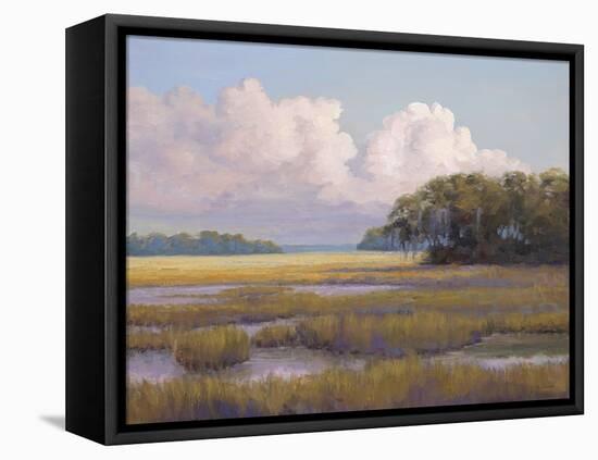 Big Sky Countryside-Jill Schultz McGannon-Framed Stretched Canvas