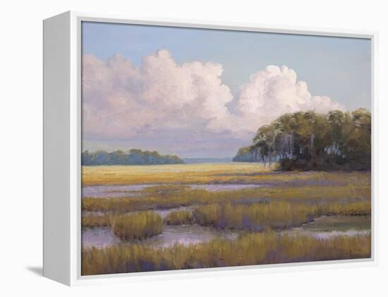 Big Sky Countryside-Jill Schultz McGannon-Framed Stretched Canvas