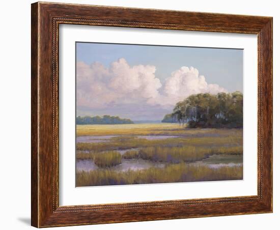 Big Sky Countryside-Jill Schultz McGannon-Framed Art Print