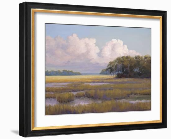 Big Sky Countryside-Jill Schultz McGannon-Framed Art Print