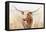 Big Sky Longhorn Neutral-Danhui Nai-Framed Stretched Canvas