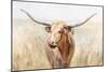 Big Sky Longhorn Neutral-Danhui Nai-Mounted Art Print