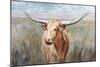 Big Sky Longhorn Sunset-Danhui Nai-Mounted Art Print