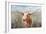 Big Sky Longhorn Sunset-Danhui Nai-Framed Premium Giclee Print