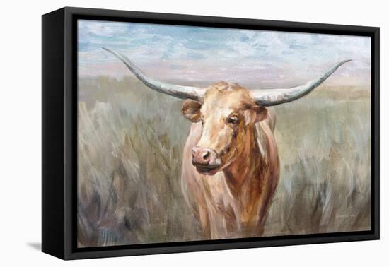 Big Sky Longhorn Sunset-Danhui Nai-Framed Stretched Canvas