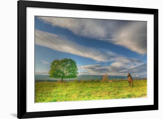 Big Sky Paddock-Robert Goldwitz-Framed Photographic Print