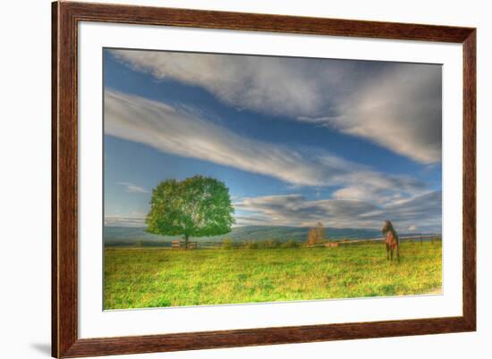 Big Sky Paddock-Robert Goldwitz-Framed Photographic Print