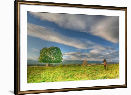 Big Sky Paddock-Robert Goldwitz-Framed Photographic Print