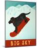 Big Sky Snowboard Black-Stephen Huneck-Mounted Giclee Print