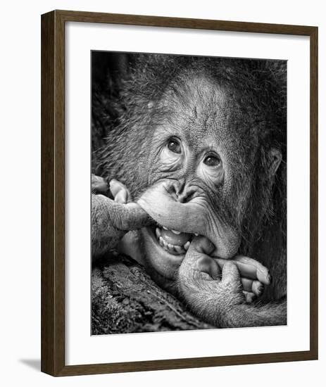 Big Smile..Please-Angela Muliani Hartojo-Framed Giclee Print