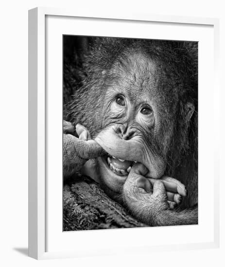 Big Smile..Please-Angela Muliani Hartojo-Framed Giclee Print