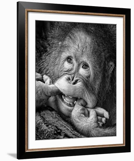 Big Smile..Please-Angela Muliani Hartojo-Framed Giclee Print