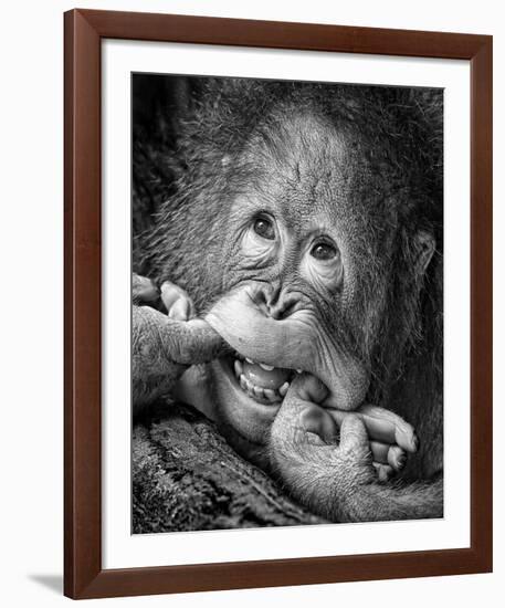 Big Smile..Please-Angela Muliani Hartojo-Framed Giclee Print