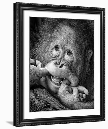 Big Smile..Please-Angela Muliani Hartojo-Framed Giclee Print