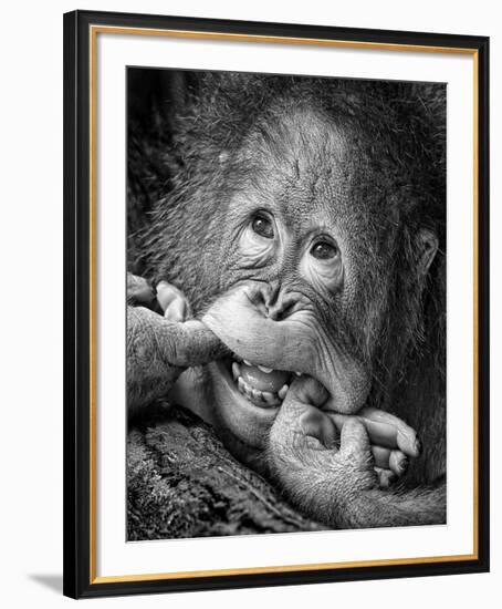 Big Smile..Please-Angela Muliani Hartojo-Framed Giclee Print