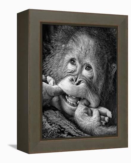 Big Smile.....Please-Angela Muliani Hartojo-Framed Premier Image Canvas