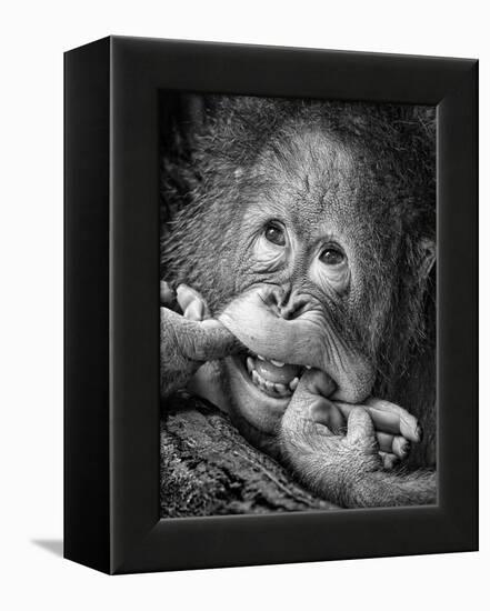 Big Smile.....Please-Angela Muliani Hartojo-Framed Premier Image Canvas