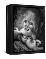 Big Smile.....Please-Angela Muliani Hartojo-Framed Premier Image Canvas