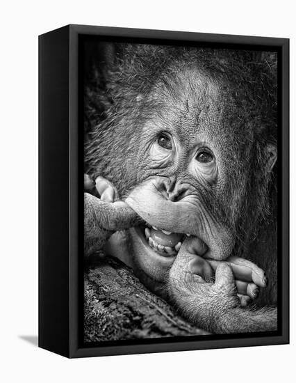 Big Smile.....Please-Angela Muliani Hartojo-Framed Premier Image Canvas