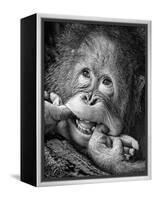 Big Smile.....Please-Angela Muliani Hartojo-Framed Premier Image Canvas