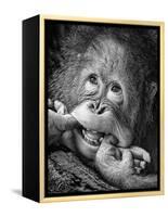 Big Smile.....Please-Angela Muliani Hartojo-Framed Premier Image Canvas