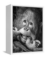 Big Smile.....Please-Angela Muliani Hartojo-Framed Premier Image Canvas