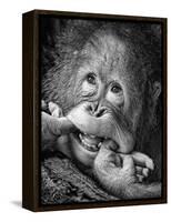 Big Smile.....Please-Angela Muliani Hartojo-Framed Premier Image Canvas