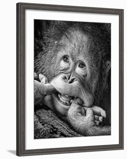 Big Smile.....Please-Angela Muliani Hartojo-Framed Photographic Print