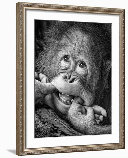 Big Smile.....Please-Angela Muliani Hartojo-Framed Photographic Print