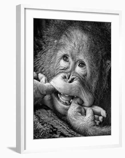 Big Smile.....Please-Angela Muliani Hartojo-Framed Photographic Print