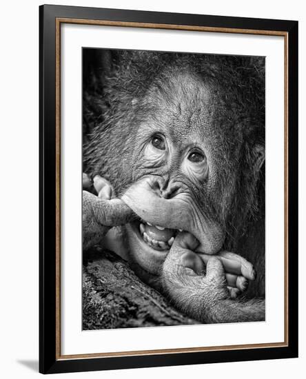 Big Smile.....Please-Angela Muliani Hartojo-Framed Photographic Print