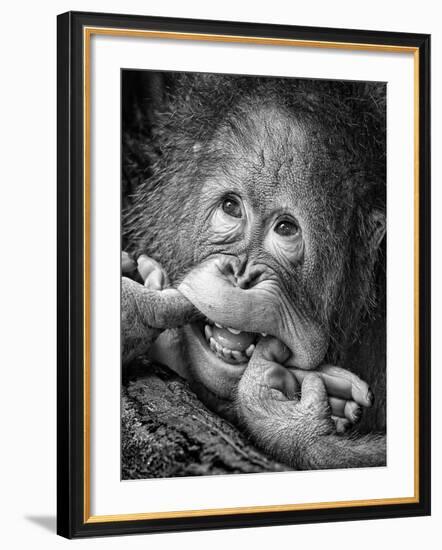 Big Smile.....Please-Angela Muliani Hartojo-Framed Photographic Print