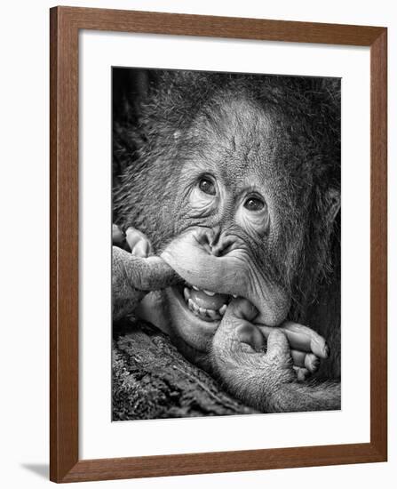 Big Smile.....Please-Angela Muliani Hartojo-Framed Premium Photographic Print