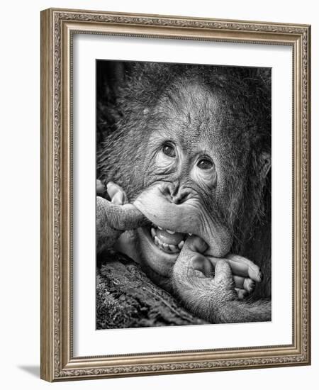 Big Smile.....Please-Angela Muliani Hartojo-Framed Photographic Print