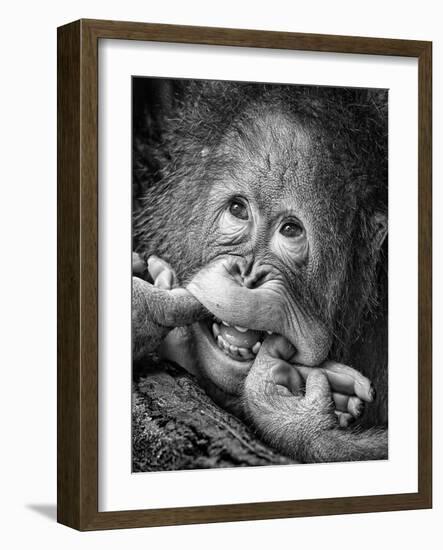 Big Smile.....Please-Angela Muliani Hartojo-Framed Photographic Print