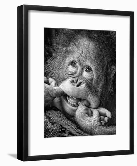 Big Smile.....Please-Angela Muliani Hartojo-Framed Photographic Print