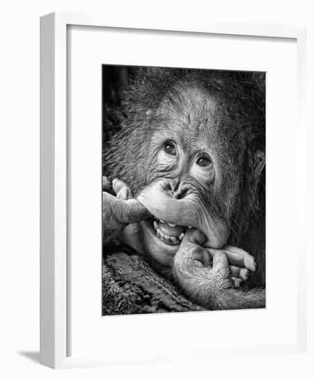 Big Smile.....Please-Angela Muliani Hartojo-Framed Photographic Print